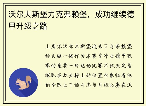 沃尔夫斯堡力克弗赖堡，成功继续德甲升级之路